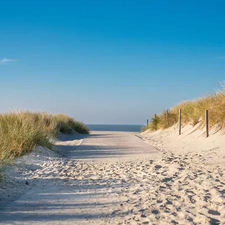 Strandlaeufer * Spiekeroog