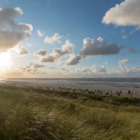 Strandlaeufer