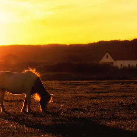 Apartament Strandlaeufer Spiekeroog