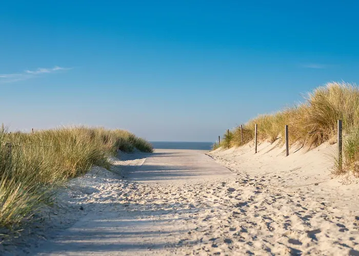 Strandlaeufer * Шпикерог