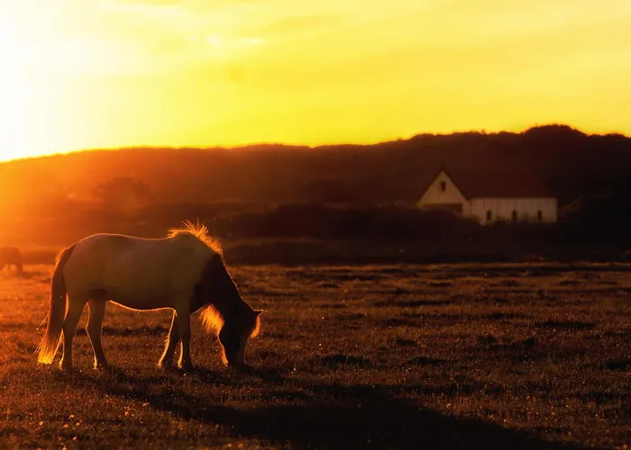 Апартаменты Strandlaeufer Шпикерог